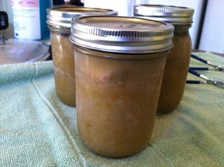 Canned Pork Chili Verde! The sauce is awesome, can't wait until the canner is done and I can try the finished product. Canning Pork, Slow Cooker Pumpkin Butter, Pork Chili Verde, Pear Relish, Chili Verde Pork, Green Chili Pork, Raw Pork, Banana Butter, Three Ingredient Recipes