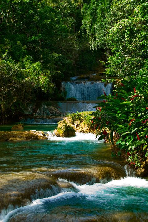 Jamaica waterfalls. Jamaica cascade waterfalls, Negril , #Sponsored, #waterfalls, #Jamaica, #Negril, #cascade #ad Jamaica Waterfalls, Jamaica Negril, Beautiful Beach Pictures, Negril Jamaica, Cascade Waterfall, Negril, Brochure Design Template, Beautiful Beaches, Beach Pictures