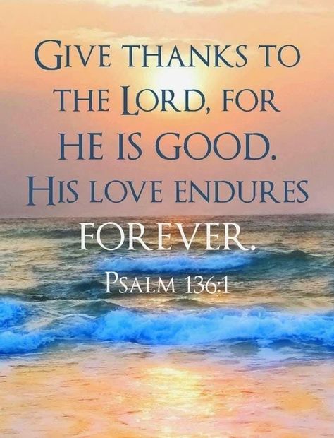 Happy Sabbath Quotes, Inspiring Bible Verses, Inspirational Scripture Quotes, Psalm 136, Bible Quotes Images, Powerful Bible Verses, Beautiful Bible Verses, Bible Promises, Bible Love