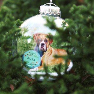 Diy Christmas Presents For Grandparents, Presents For Grandparents, Christmas Presents For Grandparents, Diy Photo Ornaments, Nonalcoholic Drinks, Pet Recipes, Disney Christmas Tree, Diy Christmas Presents, Holiday Labels