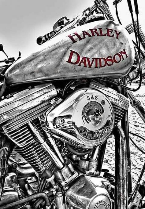 HD Motocykle Harley Davidson, Harley Davidson Decals, Motorcycle Art Painting, Harley Davidson Scrambler, Harley Davidson Engines, Motorbike Art, Harley Davidson Artwork, Motos Vintage, Harley Davidson Wallpaper