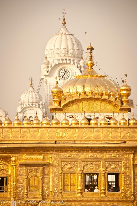 All sizes | Golden Temple, Amritsar, Punjab, India | Flickr - Photo Sharing! Wallpaper Travel, Golden Temple Amritsar, Temple India, Indian Temple Architecture, Amazing India, Temple Architecture, Golden Temple, Indian Architecture, Amritsar