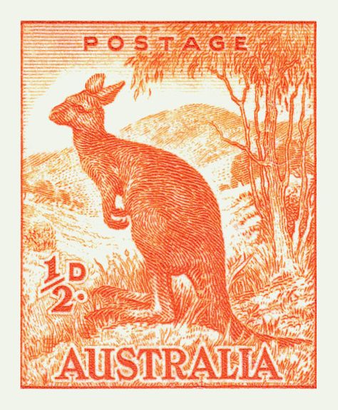 Yes We Are Open, Mcm Pottery, Vintage Australia, Australian Fauna, Posters Australia, Australia Kangaroo, Postage Stamp Design, Australian Vintage, Australia History