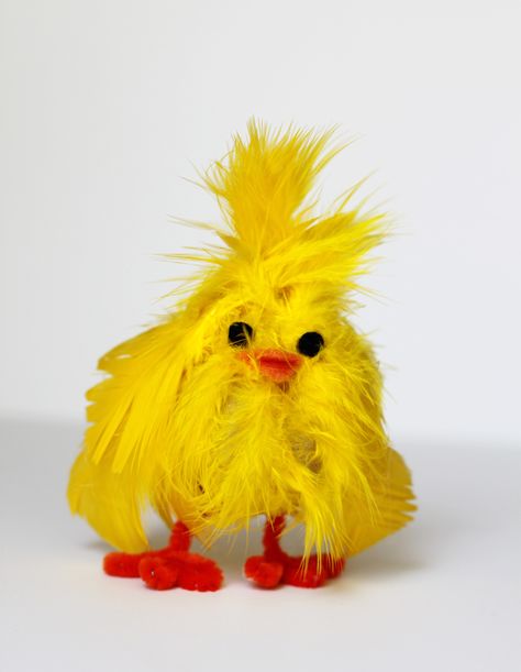 Easter Pfp, Duck Crafts, Duck Pictures, Easter Specials, Baby Chickens, Easter Chick, Holiday Crafts For Kids, Feather Crafts, Easter Craft