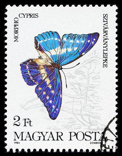 طوابع بريد, Postage Stamp Design, Bd Art, Butterfly Stamp, Postage Stamp Art, Vintage Postage Stamps, Vintage Postage, Post Stamp, Postal Stamps