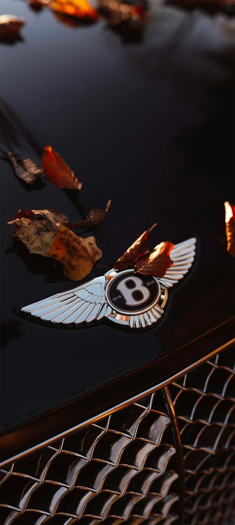 Bentley Wallpaper, Car Wallpaper, Ipad Wallpaper, Car Wallpapers, Iphone Wallpapers, Bentley, Iphone 11, Iphone Wallpaper, Ios