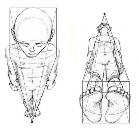 This lesson will explore perspective & foreshortening of the human figure. Perspective Drawing Lessons, Human Figure Drawing, Human Anatomy Art, Perspective Art, Figure Sketching, The Human Body, Drawing Lessons, Anatomy Art, Art Tutorials Drawing