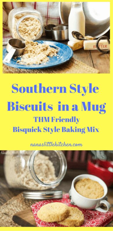 Southern Style Biscuit in a Mug Using Biscuit Mix Biscuit In A Mug, Trim Healthy Mama Recipe, No Carb Food List, Trim Healthy Momma, Low Fat Low Carb, Boiled Egg Diet Plan, Biscuit Mix, Low Carb Low Sugar, Best Low Carb Recipes