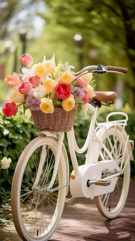 Pretty Bicycle, Bike Planter, Bicycle Photography, Mughal Art Paintings, Bicycle Painting, Happy Birthday Wishes Images, Pretty Bike, Flower Boutique, Floral Wallpaper Phone