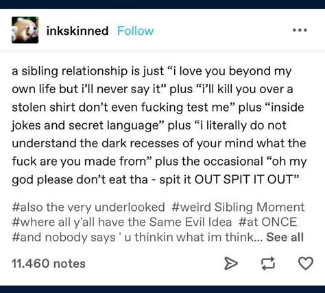 Writing Siblings Tumblr, Siblings Tumblr Post, Writing Family Dynamics, Writing Sibling Relationships, Sibling Tumblr Posts, Sibling Dynamics Drawing, Sibling Dynamics Writing, Sibling Tropes, Siblings Prompts