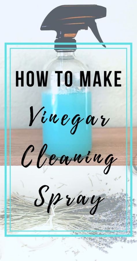 DIY Cleaning Spray - SAVE $$ and Stop Buying Cleaners Now! Vinegar Cleaning Spray, Diy Vinegar, Diy Cleaning Spray, Dawn Soap, Airbnb Hosting, Homemade Toilet Cleaner, Cleaning Diy, Cleaning Painted Walls, Lavender Eucalyptus