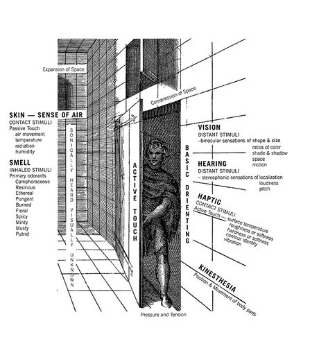 Why sensory design? | Cooper Hewitt, Smithsonian Design Museum Sensory Design, Architecture Section, Site Development Plan, Installation Architecture, Interactive Architecture, Design University, Urban Design Diagram, Sensory Details, Concept Models Architecture