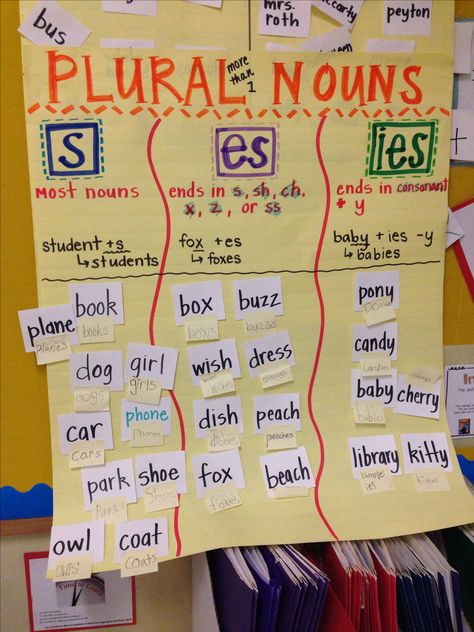 Plural nouns anchor chart (image only) Singular Plural Chart, Plural Nouns Anchor Chart, Noun Anchor Chart, Nouns Anchor Chart, Plural Nouns Activities, Irregular Plural Nouns, Singular Plural, Ela Anchor Charts, Nouns Activities