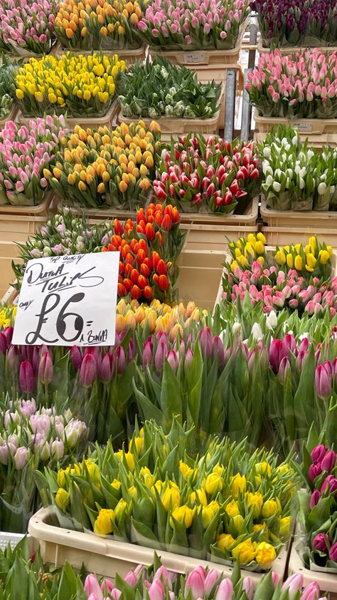 columbia road flower market ldn, 1st weekend of march 2023 aka tulip season Flower Market London, Columbia Road Flower Market, Tulip Season, London Bucket List, Columbia Road, Flower Therapy, Red Tulips, March 2023, London Life