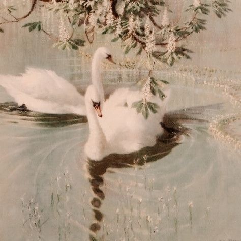 #swans #swanlake #aesthetic #aniamls Aphrodite Aesthetic, Princess Aesthetic, Swan Lake, Romantic Art, Ethereal Art, Just Dance, Swans, Green Aesthetic, Aphrodite