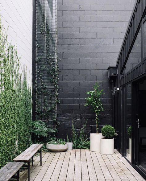 Pinterest Garden, Black Brick, Potted Trees, City Garden, Small Patio, Terrace Garden, Small Gardens, Balcony Garden, Backyard Landscaping Designs