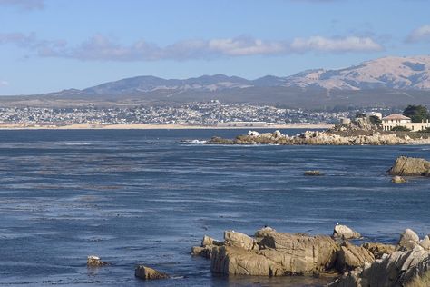 Monterrey California, Apartment Window, Monterey Bay California, California Winery, Sea Otters, Monterey California, Fishermans Wharf, Monterey Ca, Clam Chowder