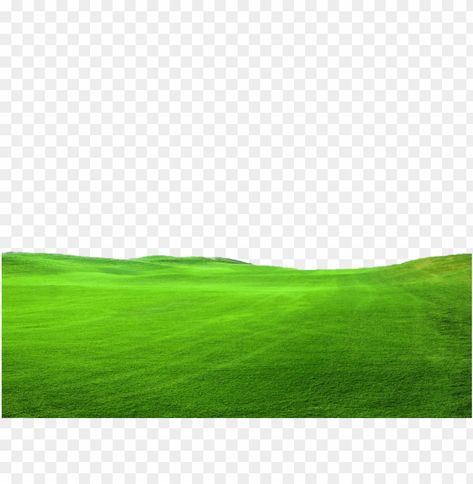 Green Grass Png, Grass Photoshop, Png Pic, Grass Png, Pinterest Png, Tree Photoshop, Photo Cutout, Snowy Christmas Tree, Milk Splash