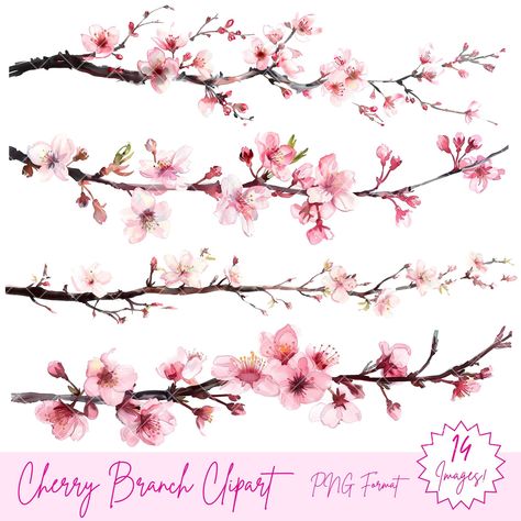 Cherry Blossom Images, Cherry Branch, Cherry Blossom Branches, Cherry Blossom Watercolor, Branch Art, Cherry Blossom Branch, Cherry Blossom Tattoo, Blossom Tattoo, Spine Tattoo