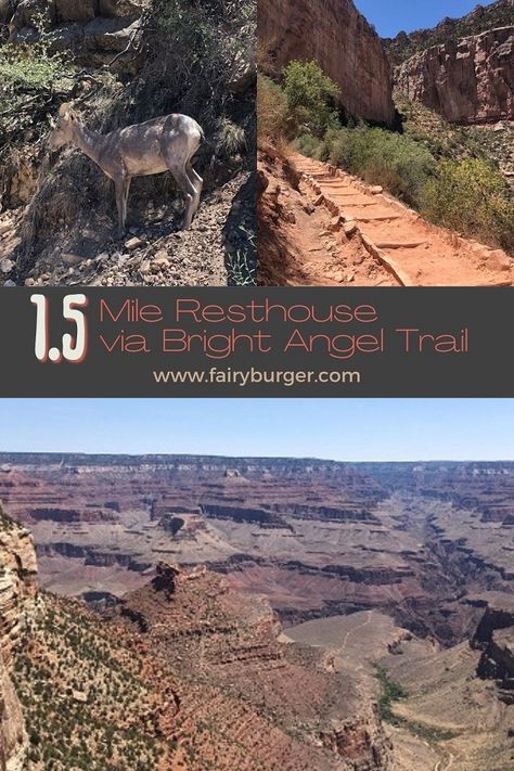 Grand Canyon Vacation, Backpacking Destinations, Bright Angel Trail, Travel Tuesday, Hiking Trips, Hiking Adventures, Truth Be Told, Park Trails, Hiking Destinations