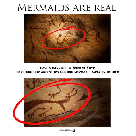 Mermaids Real, Mermaid History, Dengeki Daisy, Real Mermaids, Samurai Tattoo, Mermaids And Mermen, Ancient Mysteries, Real Quick, Science Facts