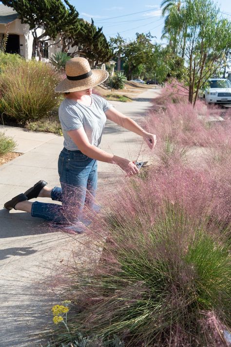 My Favorite Gardening and Landscaping Tools Pink Muhly, Planting Mums, Garden Tool Bag, Better Homes And Gardens Magazine, Pink Grass, Garden Tool Organization, Landscaping Tools, California Garden, Landscape Maintenance