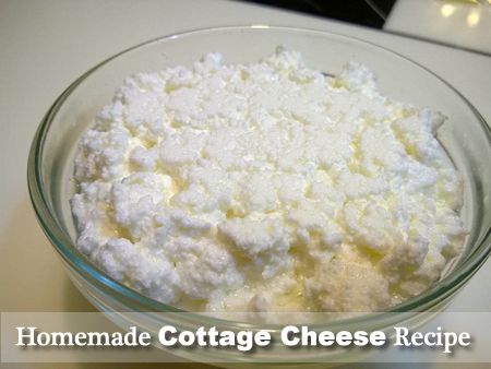 Homemade Cottage Cheese Recipe Making Cheese At Home, Cottage Cheese Recipe, Labneh Recipe, Homemade Cottage Cheese, Recipes With Parmesan Cheese, Cheese At Home, Feta Cheese Recipes, Making Cheese, Scitec Nutrition