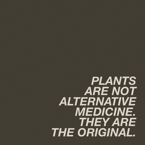 Earth & body medicine for today 🌎👣🐢 via 1. There´s more wisdom in your body than in your deepest philosophy. -Nietzsche 2. Plants are not alternative medicine. They are the original. @marysia_miernowska. 3. Calm is felt in the body, not in the mind. @kardenrabin 4.Each thought is a luminary, circulate them wisely. @__propheta__ Plant Medicine Aesthetic, Plant Medicine Quotes, Philosophy Nietzsche, Medicine Quotes, Plants Quotes, Plant Medicine, Naturopathic Medicine, Easy Canvas, Easy Canvas Art