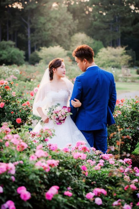 Norfolk Botanical Garden, Rose Garden Bride and Groom Wedding Portraits Rose Garden Wedding Photos, Garden Poses, Norfolk Botanical Garden, Lifestyle Newborn Family, Virginia Beach Wedding, English Garden Wedding, Family Wedding Photos, Red Rose Wedding, Marriage Photos