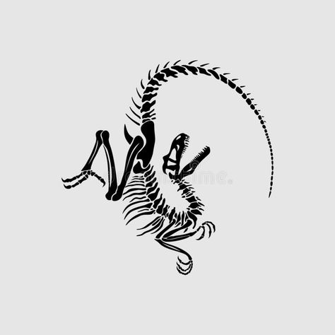 Velociraptor Skeleton, Vector Portraits, Tatuagem Masculina Pequena, Whatsapp Wallpapers Hd, Tatoo Inspiration, Dinosaur Tattoos, Skeleton Drawings, Tattoo Reference, Skeleton Tattoos