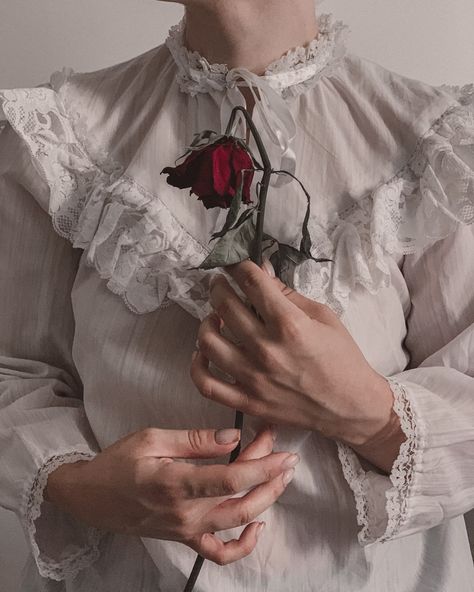 A woman in a white shirt holding a red rose photo – Free Iran Image on Unsplash Giving Roses To Her, Holding Someone Pose Reference, Iran Vintage, Korea Nail Art, Hand Holding Rose, Nail Art Fall, Free Iran, Rose In Hand, Korea Nail