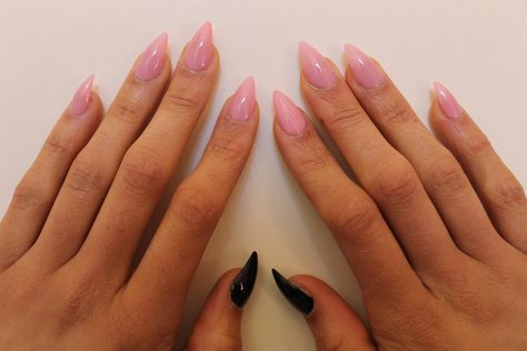 My pink and black cat claws(stiletto nails). Done by Ryan from Angels Care hair and nails. Cat Shape Nails, Cat Claw Nails Designs, Kitten Nails Shape, Kitty Claw Nails, Pink Short Stiletto Nails, Pink Claw Nails, Cat Nails Acrylic, Short Sharp Nails, Short Claw Nails