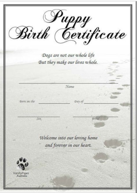 Dog Birth Certificate, Pet Birth Certificate, Puppy Birth Certificate, Birth Certificate Form, Dog Breeding Kennels, Dog Whelping Box, Pet Care Printables, Dog Breeding Business, Whelping Puppies