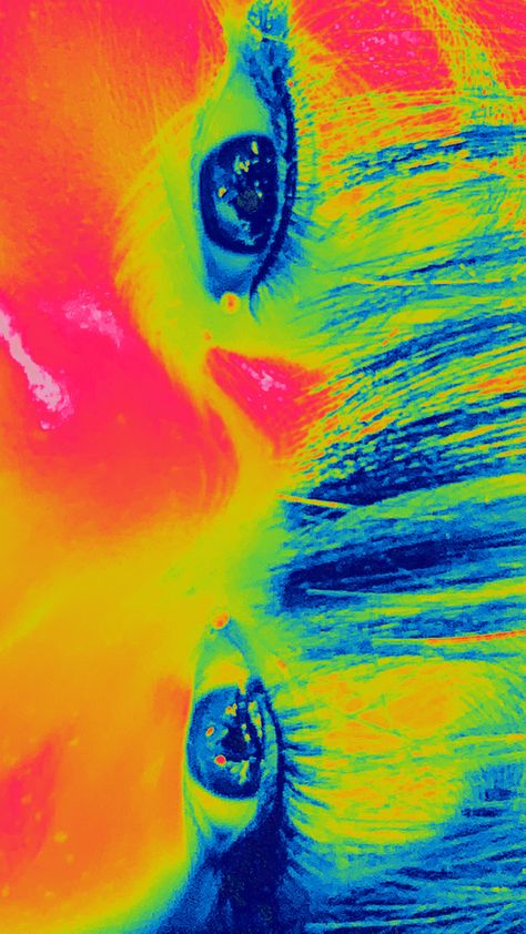 Colorblind Aesthetic, Thermal Pictures, Color Switch, Glossy Eyes, Color Studies, Pretty Colours, Art Gift, Art Classes, Surrealism