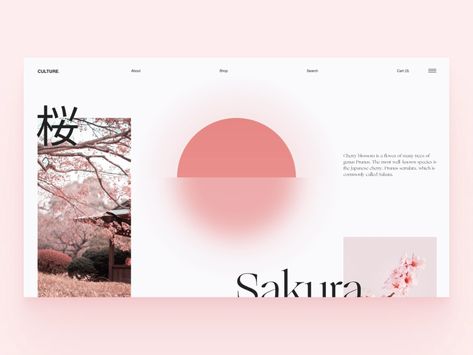 Sakura Website by Arthur K on Dribbble Aesthetic Websites, Design Sites, Website Design Inspiration Layout, 포트폴리오 레이아웃, Tokyo Design, Website Design Layout, Website Layout, Learning Design, Website Inspiration