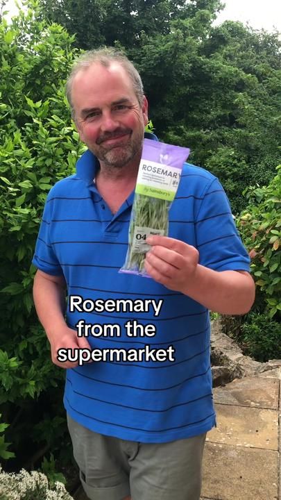 Rosemary Cuttings, Rosemary Benefits, Rosemary Plant Care, Growing Rosemary Indoors, Grow Rosemary, Growing Rosemary, Rosemary Plant, Vertical Vegetable Garden, Herb Gardening