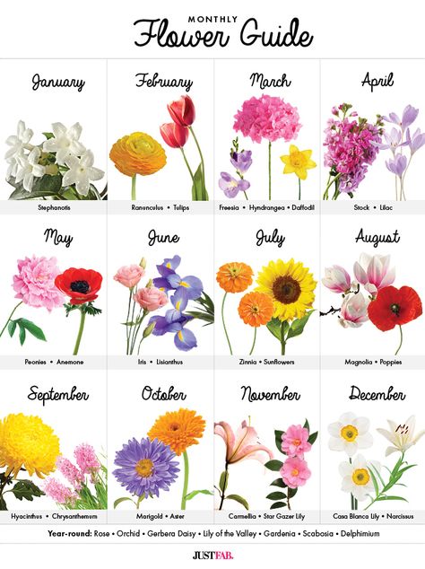 Flowers For May Wedding, Monthly Flowers, Flower List, Ant Tattoo, Wedding Flower Guide, Flower Chart, Birth Flower Tattoos, Flower Guide, Flower Meanings