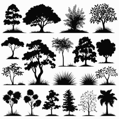 Tree silhouettes drawing collection hand... | Premium Vector #Freepik #vector #tree #black #flat #plants Tree Outline Silhouettes, Silhouettes Drawing, Oak Tree Silhouette, Tree Outline, Drawing Collection, Silhouette Drawing, Vector Trees, Hand Drawn Vector Illustrations, Tree Silhouette