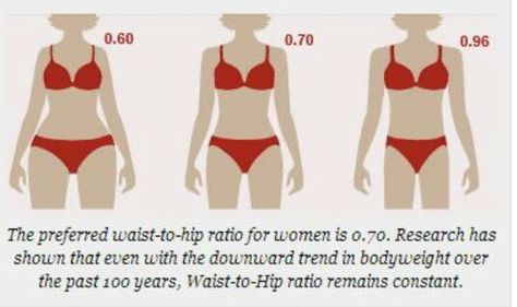 Waist to hip ratio Waist To Hip Ratio, Clothing Ideas, Body Shape, Body Weight, Body Goals, Body Shapes, Body Types, Get Fit, Affirmations