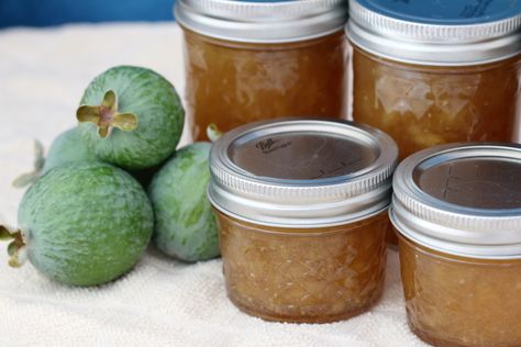 Feijoa jam is delicious and not just for your morning toast or PB&J sandwich. Feijoa Jam Recipe, Pineapple Guava Jam, Pineapple Guava Recipe, Fejoa Recipes, Pineapple Guava Tree, Feijoa Recipes, Classy Appetizers, Crunchy Stuff, Guava Recipes