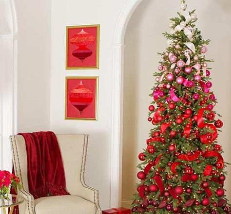 a beautiful and bright ombre Christmas tree from light pink to hot pink and red and burgundy plus lights Ombre Christmas Tree, Pretty Christmas Trees, Colored Lights, Christmas On A Budget, 12 December, Christmas Tree Themes, Tree Ideas, Christmas Tree Lighting, Christmas Love