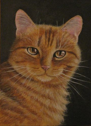 https://flic.kr/p/4fAYPU | Orange Tabby Cat Painting | Another of my paintings. Painted on 5x7 canvas panel. In acrylics. Tabby Cat Painting, Tabby Cat Pictures, Ginger Cat Art, Ideas For Cats, Cats Painting, Cat Art Illustration, Orange Tabby Cats, Super Cat, Orange Cats