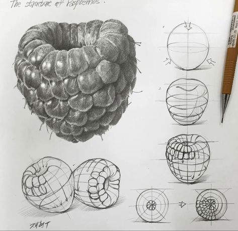 Shape Drawings Art, Structure Art Gcse, Drawing Raspberry, Shapes Drawing Art, How To Draw Strawberry, Structures Drawing, Object To Draw, Shape In Art, Raspberry Drawing