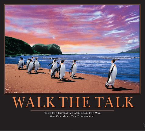 Successories posters were office icons of the 1980s and 1990s. From 'teamwork' to 'commitment,' we've gathered some of our favorite inspirational artwork. Penguin Quotes, Group Of Penguins, Healing Studio, Walk The Talk, Corporate Values, Team Quotes, Psychology Fun Facts, Poster Classic, Motivational Poster