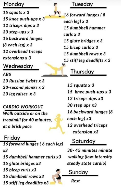 Workout Routine Schedule For Women, Workout Routine Schedule, Beginner Workout Schedule, Weekly Workout Schedule, Russian Twist, Beginner Workout, Bicep Curls, Leg Raises, Workout Schedule