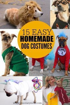 Homemade Dog Costumes, Dog Costumes Halloween Large, Diy Pet Costumes, Large Dog Costumes, Pet Costumes For Dogs, Small Dog Costumes, Dog Costumes Funny, Diy Dog Costumes, Dog Clothes Diy