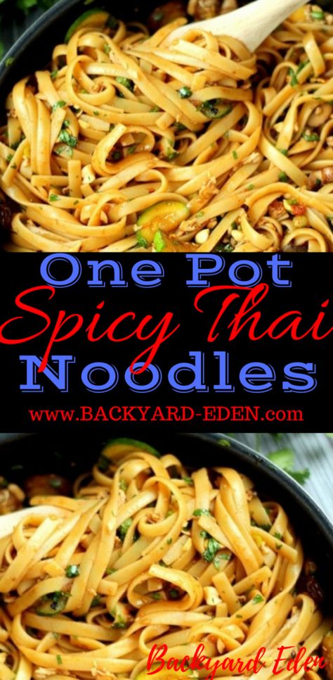 Thai Noodle Recipe, Thai Noodles Recipe, Spicy Noodles Recipe, Spicy Asian Noodles, Thai Recipes Noodles, Spicy Thai Noodles, Noodles Spicy, Take Out Food, Pot Noodle