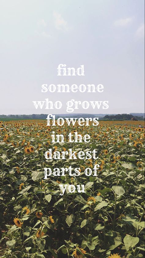 Find Someone Who Grows Flowers Wallpaper, Sun To Me Zach Bryan Wallpaper, Find Someone Who Grows Flowers In The Darkest Parts Of You, Zach Bryan Quotes Wallpaper, Find Someone Who Grows Flowers Tattoo, Wallpaper Zach Bryan, Country Music Wallpaper, Sun To Me Zach Bryan, Zach Bryan Wallpaper