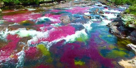 Liquid Rainbow, Rainbow River, Star Wars Planets, Lake Photoshoot, Waterfall Pictures, Paradise On Earth, South America Travel, Beautiful Rainbow, Wonderful Places