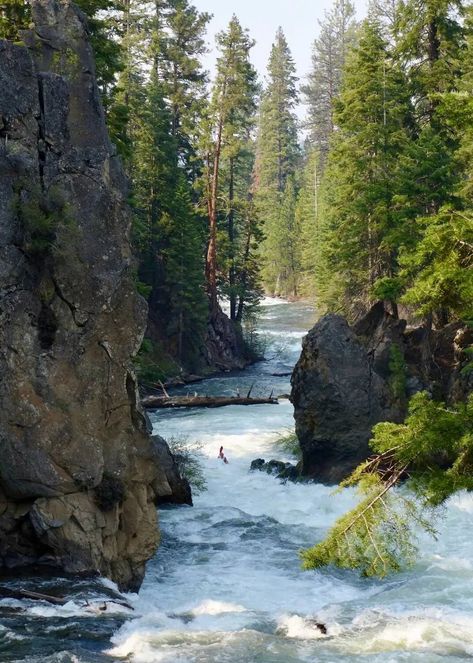 From scenic drives to the High Desert Museum, this list of 10 great things to do in Bend Oregon will have you on your way to sun and fun. Includes photos and map. #bendoregon #centraloregon #alpacas #Oregonthingstodo #CascadeMountains #pnwtravel #traveloregon Desert Map, Nature Connection, Portland Travel, Painted Hills, Fav Place, Forest Bathing, Cascade Mountains, High Desert, Central Oregon